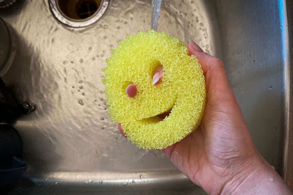 Scrub Daddy